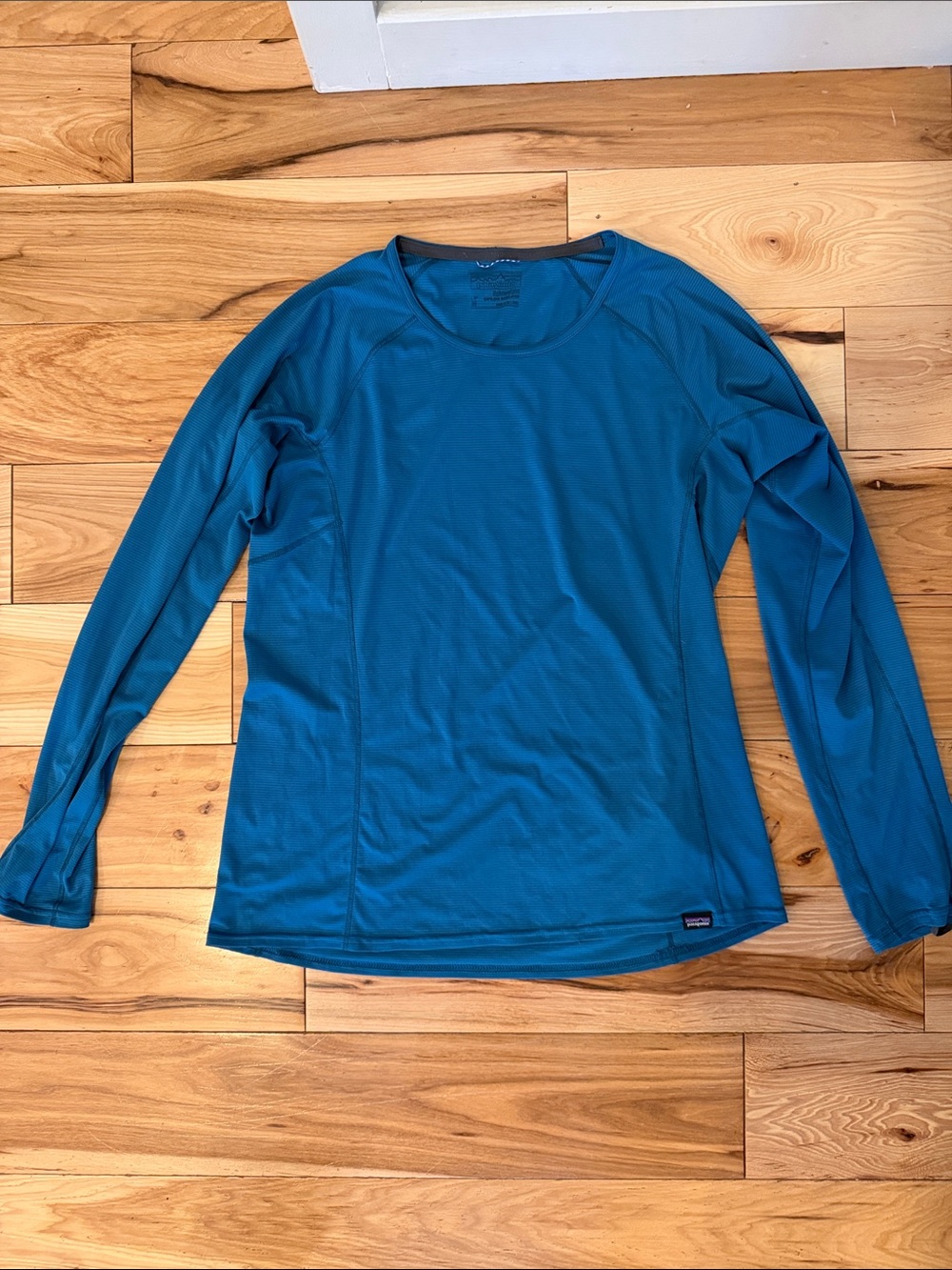 Patagonia Blue Long Sleeve Tech Tee